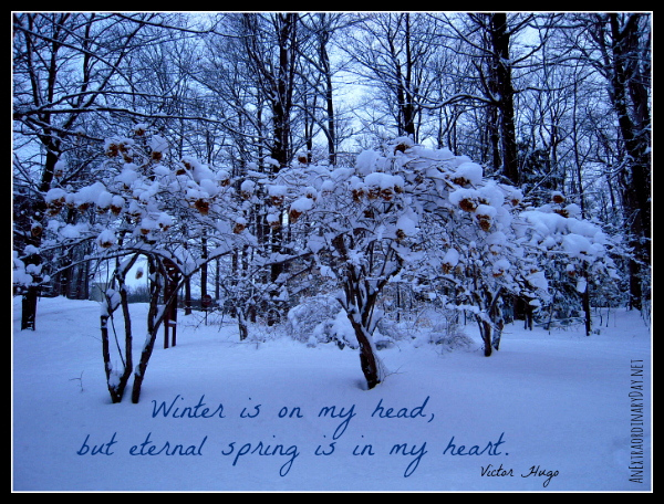 Inspirational Quotes About Winter. QuotesGram