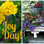 Snapshot of 5/11 on the blog :: AnExtraordinaryDay.net