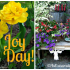 Snapshot of 5/11 on the blog :: AnExtraordinaryDay.net