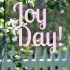 Apple Blossoms ::Joy Day! :: AnExtraordinaryDay