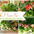 How to Plant a Window Box Garden :: AnExtraordinaryDay