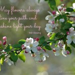 Irish Blessing :: Apple blossoms - Free Printable 8x10 or Desktop Background - Apple Blossoms with Irish blessing :: AnExtraordinaryDay.net