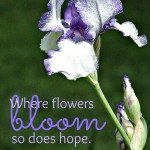 Where flowers bloom - Lady Bird Johnson Quote :: Week at a Glance 5-25 :: AnExtraordinaryDay