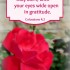 Pray diligently :: Colossians 4:2 :: AnExtraordinaryDay.net