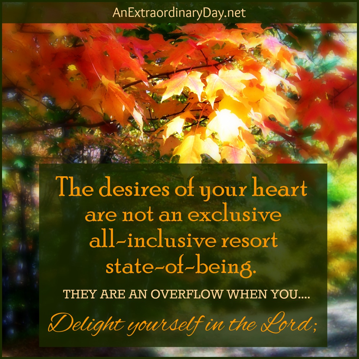 The Desires of Your Heart Joy Day! An Extraordinary Day