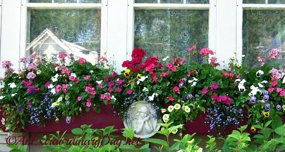 Inspiration for a cottage style window box container garden