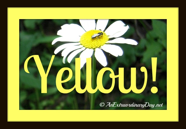 An Extraordinary Day | Inspiration Workshop - Yellow!