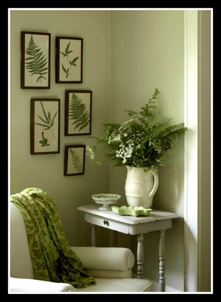 Ferns | textural beauties - Country Home