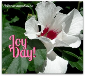 Give thanks regardless of the circumstance