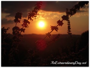 AnExtraordinaryDay.net | JOY DAY | A Four-Part Plan | Do not be afraid