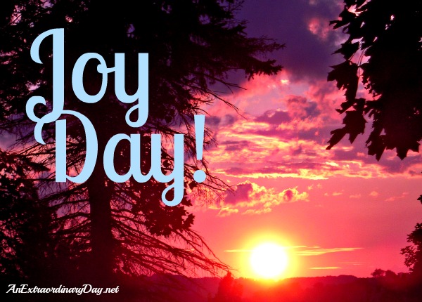 AnExtraordinaryDay.net | Joy Day! | Sky Watching