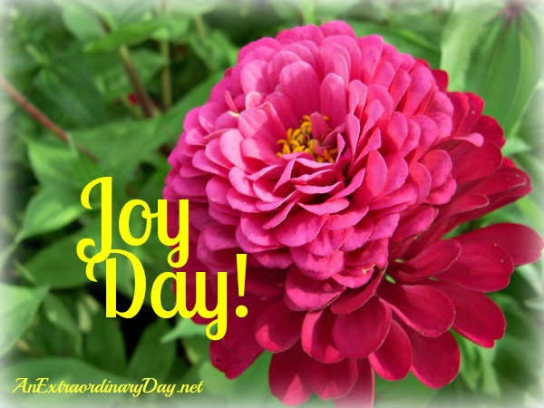 Pretty Pink Zinnia - Joy Day! - AnExtraordinaryDay - Psalm 126:3