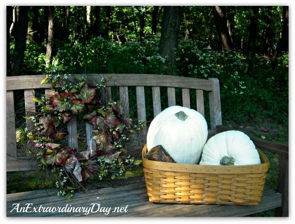 AnExtraordinaryDay.net {31 Extraordinary Days} Day 11 {Think about such things} Fall Vignette on a Garden Bench