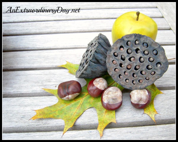 AnExtraordinaryDay.net {31 Extraordinary Days} Day 4 - Autumn Inside Outside - Apple, Pods, Chestnuts