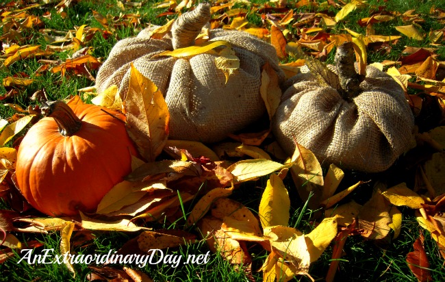 AnExtraordinaryDay.net {31 Extraordinary Days} Pumpkinizing - Burlap Pumpkins