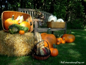 AnExtraordinaryDay.net {31 Extraordinary Days} Pumpkinizing | Outdoor display of Pumpkins and Longaberger Baskets