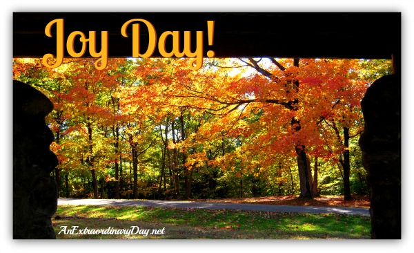 AnExtraordinaryDay.net | Day 7 {31 Extraordinary Days} It's Joy Day! - Intentionally Developing a Heart of Gratitude | Joy Day