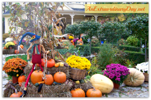AnExtraordinaryDay.net {Day15} 31 Extraordinary Days | Just for the Delight of Others! Fabulous Outdoor Fall Display | Near Niagara on the Lake