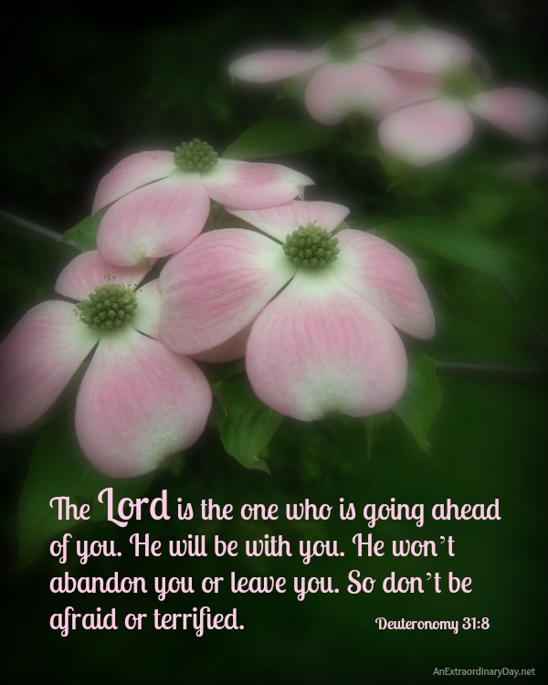 Scripture Photo :: The Lord...will be with you.  Deut. 31:8  ::  AnExtraordinaryDay