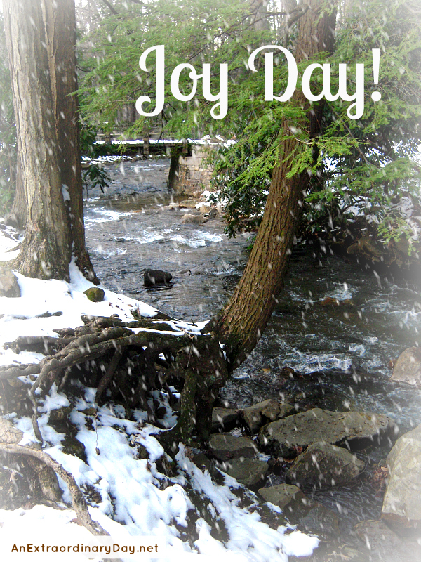 Joy Day! - Snow along the Stream at Linn Run State Park- AnExtraordinaryDay.net