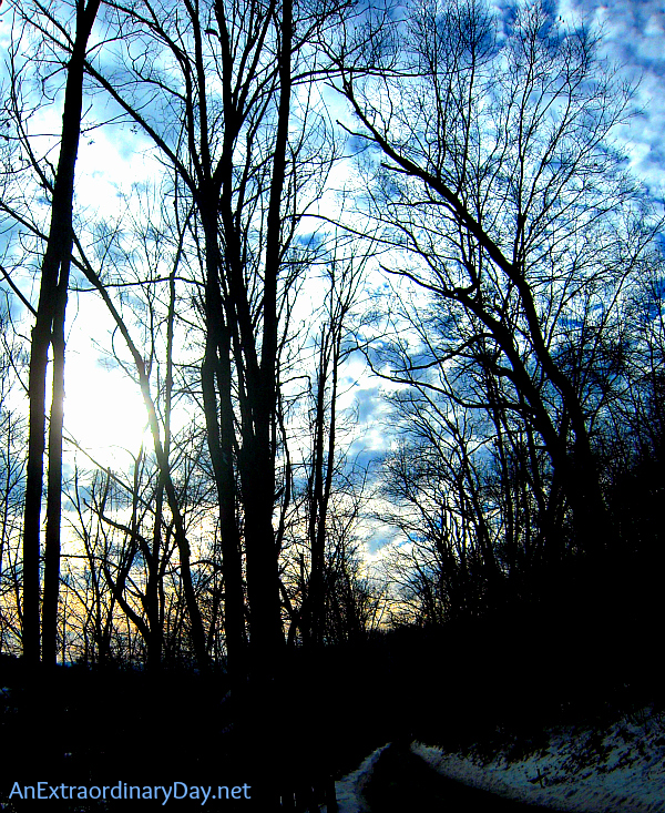 Winter Sunset through the trees | Hebrews 4:16 | AnExtraordinaryDay.net