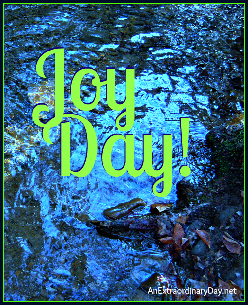 Joy Day! - Do Not Fear - AnExtraordinaryDay.net