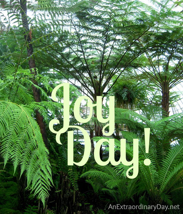 Palm Sunday :: JOY Day! :: AnExtraordinaryDay