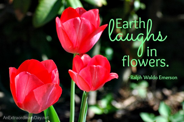 Earth laughs in flowers :: Emerson quote - Celebrating Earth Day :: AnExtraordinaryDay.net