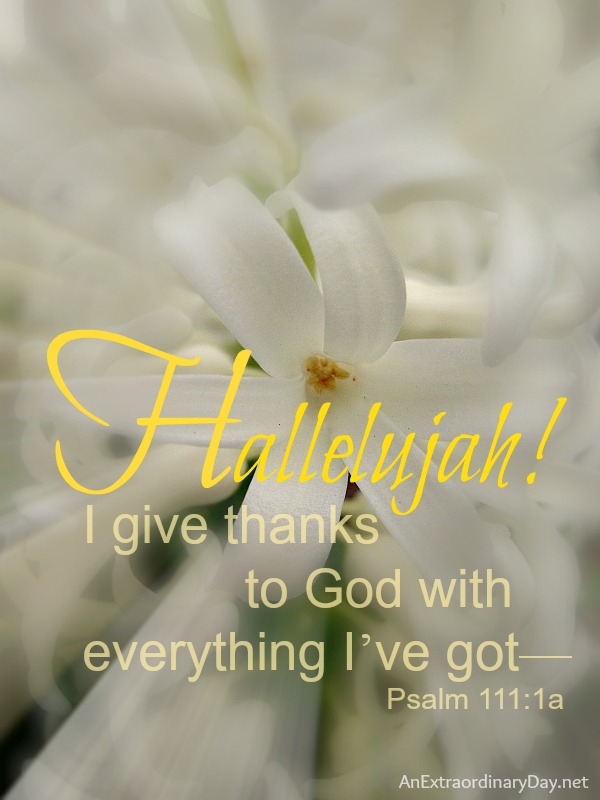 I give thanks to God with everything I've got, Psalm 111:1 :: Scripture photo art :: AnExtraordinaryDay.net
