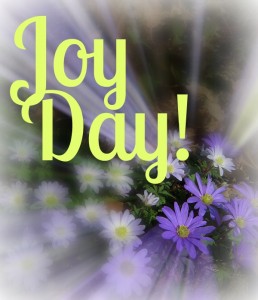 Joy Day! - Anemones - AnExtraordinaryDay