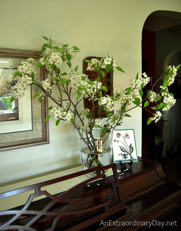 Spring Flowering Pear Branches Make Lovely Piano Top Decor :: AnExtraordinaryDay.net