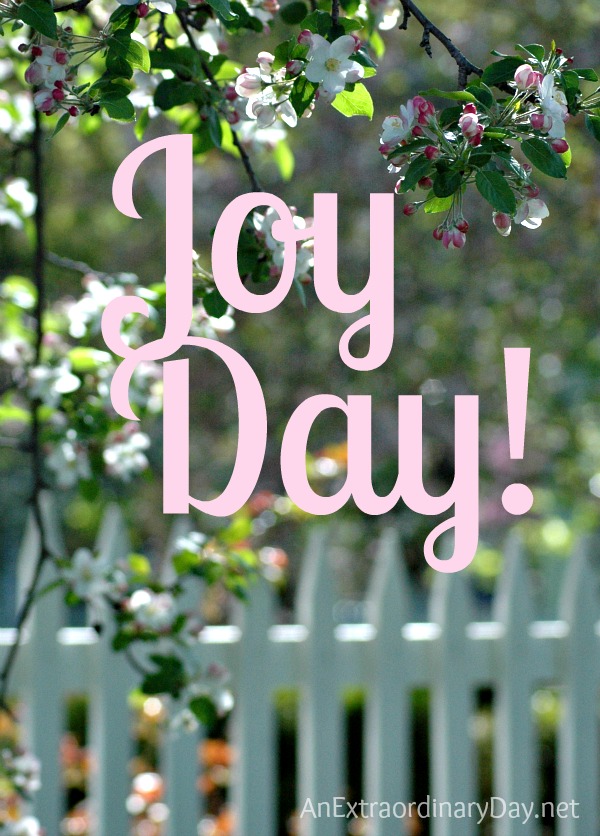Apple Blossoms :: Joy Day! :: AnExtraordinaryDay