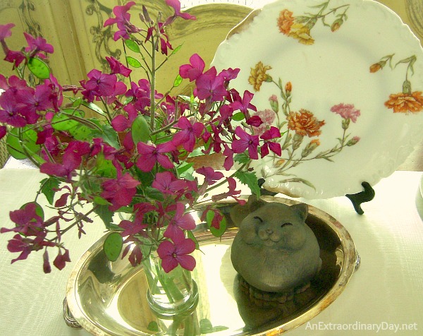 Lunaria : Money Plant : Honesty :: Whatever you call them make lovely cut flowers :: AnExtraordinaryDay.net