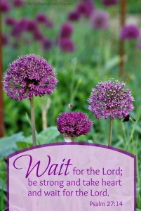 Wait for the Lord ::Joy Day! :: AnExtraordinaryDay.net