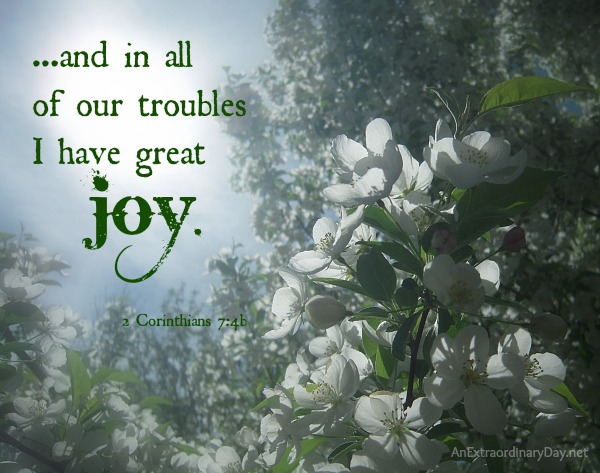 Scripture Photo :: and in all of our troubles I have great joy. 2 Cor. 7:4 ::  AnExtraordinaryDay.net