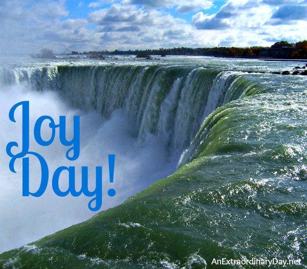 Joy Day! :: Niagara Falls :: AnExtraordinaryDay.net