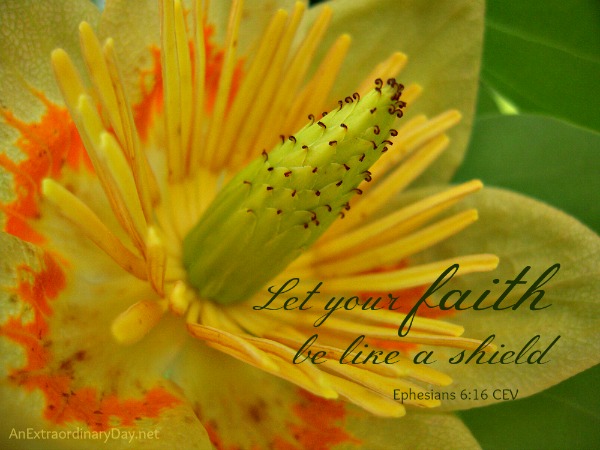 Let your faith be like a shield - Ephesians 6:16 :: Joy Day! - AnExtraordinaryDay.net