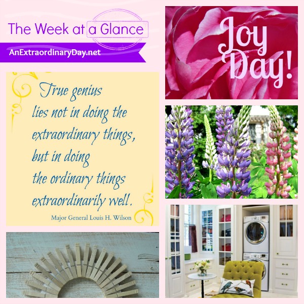 This Week on the Blog at a Glance :: AnExtraordinaryDay.net