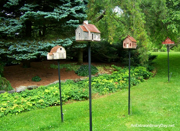 A Place of Safety :: #Birdhouses #Joy Day :: A place of safety - AnExtraordinaryDay.net