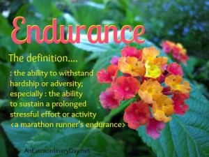 Endurance : the definition :: AnExtraordinaryDay.net
