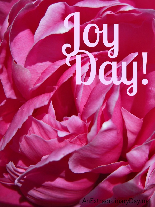 Provider God meets our needs :: Count HIS gifts to us on Joy Day! :: AnExtraordinaryDay.net