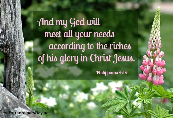Provider God :: Biblical truth ::  Philippians 4:19 : My God will meet all your needs ::AnExtraordinaryDay.net