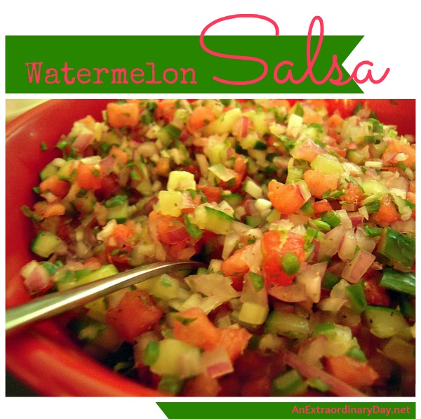 Watermelon Salsa Recipe :: AnExtraordinaryDay.net