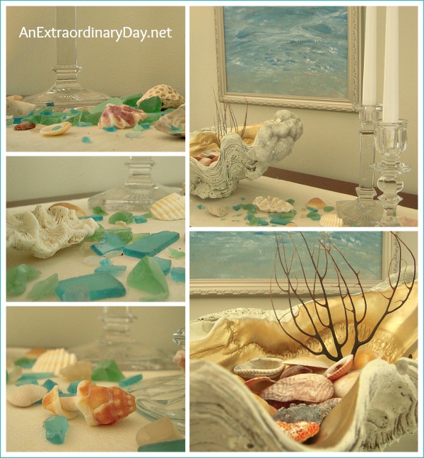 #CoastalVignette :: Seashells :: AnExtraordinaryDay.net