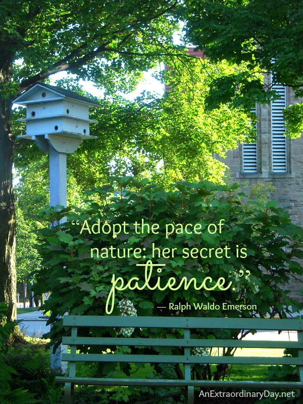 #EmersonQuote #Patience :: Adopt the pace of nature - Ralph W. Emerson ::AnExtraordinaryDay.net
