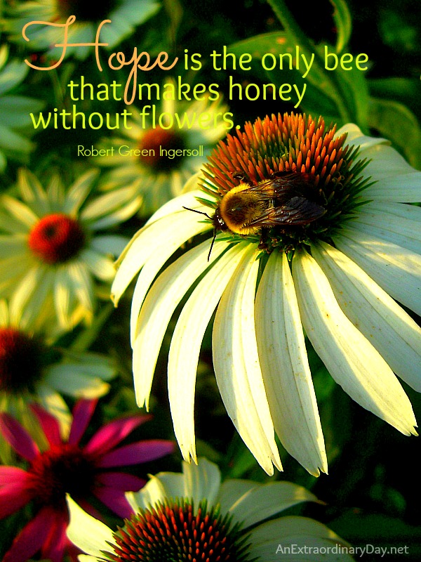 Hope is the only bee that makes honey without flowers - Quote :: #Bee #Honey # Hope :: AnExtraordinaryDay.net