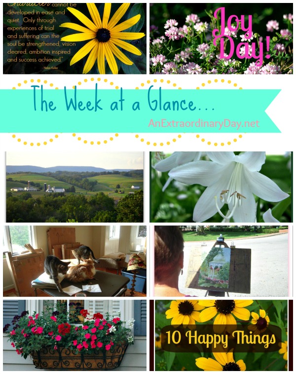 9/6 A Week at a Glance :: AnExtraordinaryDay.net