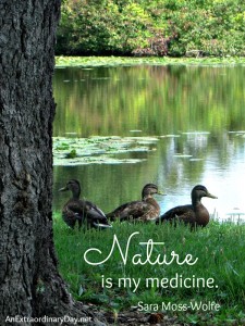 Nature is my medicine - Quote :: AnExtraordinaryDay.net