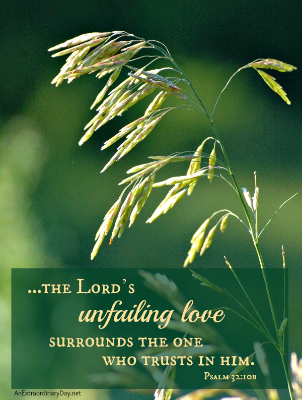 Psalm 32:10b ~ The Lord's unfailing love :: AnExtraordinaryDay.net