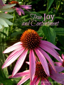 #31Days~Day 6 :: Be Joyful~True Joy and Contentment :: AnExtraordinaryDay.net